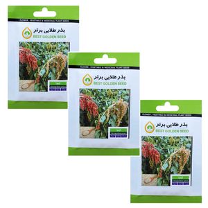 بذر گیاه دارویی کینوا بذر طلایی برتر کد btb 104 مجموعه 3 عددی