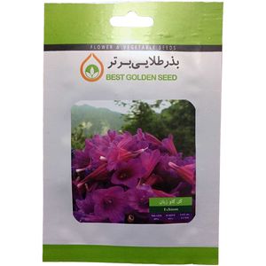 بذر گیاه دارویی گل گاو زبان بذر طلایی برتر کد bzt 106
