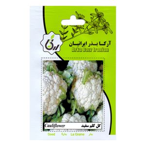 بذرگل کلم سفید آرکا بذر ایرانیان مدل b84