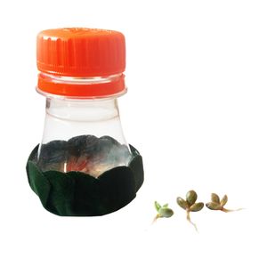 جوانه گل طبیعی اشک تمساح مدل k01
