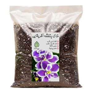 خاک بنفشه آفریقایی مهیا خاک مدل 4ltr وزن 2 کیلوگرم