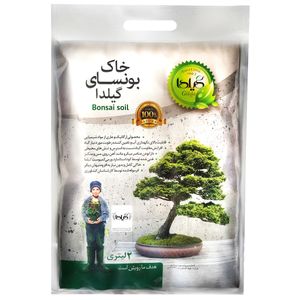 خاک بونسای گیلدا مدل g bonasia حجم 2 لیتر
