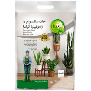 خاک سانسوریا و زاموفیلیا گیلدا مدل sz04 حجم 4 لیتر