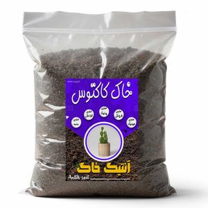 خاک کاکتوس آنتیک خاک مدل 4tr وزن 2 کیلوگرم