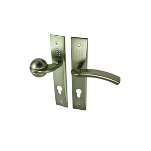 دستگیره در کلون مدل راهین کد kl3624 al
