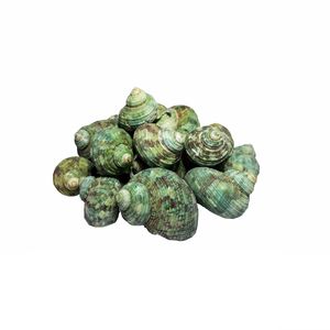 سنگ تزئینی مدل al 01