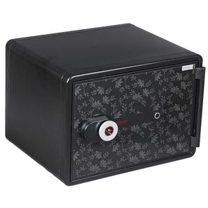 صندوق الکترونیکی نسوز ایگل مدل nps 020 b