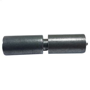 لولا مدل p24