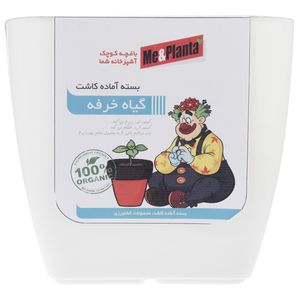 مجموعه آماده کاشت می اند پلنتا گیاه خرفه