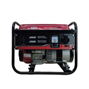 موتور برق اس کا ان مدل skn1300
