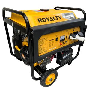 موتور برق بنزینی 9 اسب بخار رویالتی مدل rt16600whe