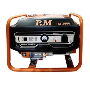 موتور برق پی ام مدل tm3600