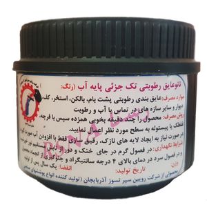 نانوعایق رطوبتی تک جزئی پایه آب رسنا کد ins 0.5 وزن 0.5 کیلوگرم