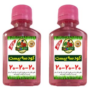 کود تقویتی سه بیست مایع مخصوص گل و گیاهان آپارتمانی هپی پلنت مدل 20 20 20 حجم 120 میلی لیتر بسته دو عددی