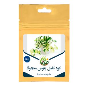 کود تقویتی مخصوص پتوس منجولا ( مانجولا ) ظرافت مدل ko21583 وزن 50 گرم