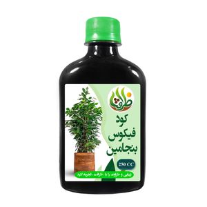 کود فیکوس بنجامین مدل ko18917 حجم 250 میلی متر