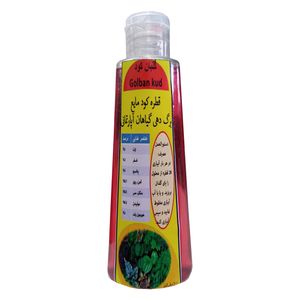 کود مایع برگ دهی گیاهان آپارتمانی گلبان کود مدل g حجم 100 میلی لیتر