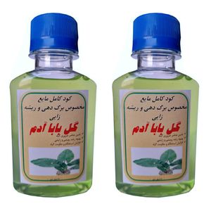 کود مایع رشدگل باباآدم مدل mpower حجم 120 میلی لیتر بسته دو عددی