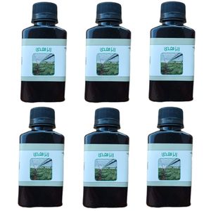 کود مایع ریز مغذی مدل life drop حجم 110 میلی لیتر بسته 6 عددی