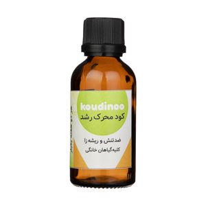کود مایع محرک رشد  ضد تنش و ریشه زا کودینو مدل 2001 حجم 50 میلی لیتر