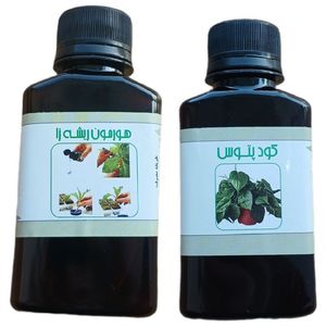کود مایع پتوس و هورمون ریشه زا  مدل life drop حجم 110 میلی لیتر