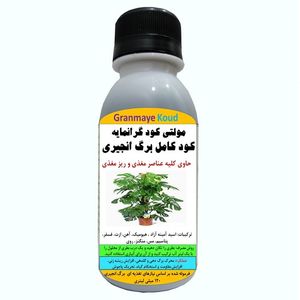 کود مایع کامل آلیومعدنی مخصوص انواع برگ انجیری مدلmultiplus  حجم 120 میلی لیتر