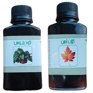 کود مایع کلات آهن و پتوس مدل life drop حجم 110 میلی لیتر