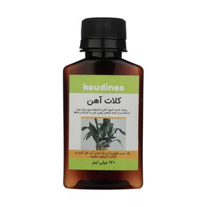 کود مایع کلات آهن کودینو مدل k 15 حجم 120 میلی لیتر