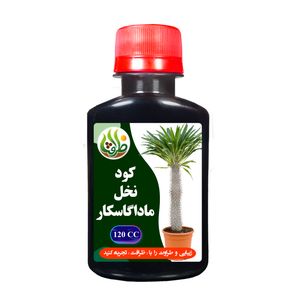 کود نخل ماداگاسکار ظرافت مدل ko19115 حجم 120 میلی لیتر