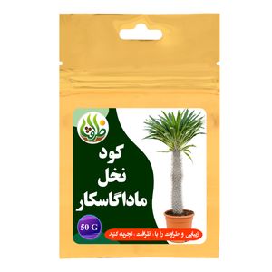 کود نخل ماداگاسکار ظرافت مدل ko21313 وزن 50 گرم