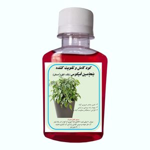 کود کامل بنجامین فیکوس بلک ابلق و آمستل مدل a33 حجم 120 میلی لیتر