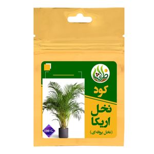 کود کامل تقویتی نخل اریکا ظرافت مدل ko21151 وزن 100 گرم