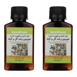 کود کامل و تقویت کننده هورمون رشد گل و گیاه کودینو مدل k 20 حجم 120 میلی لیتر بسته 2 عددی