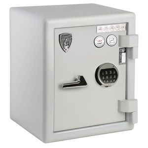 گاو صندوق گنجینه مدل gs 550 gmp