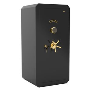 گاوصندوق روهینا مدل t1250 وزن 230 کیلوگرم