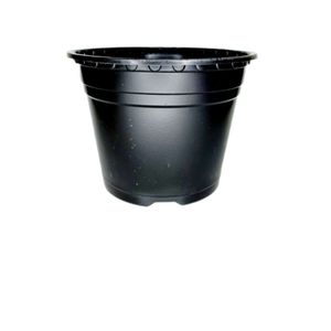گلدان طرح ژله ای مدل a 19 بسته 10 عددی