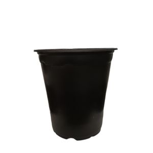 گلدان مدل ژله ای کد a 21 بسته 10 عددی