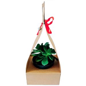 گیاه طبیعی ساکولنت مدل b 2