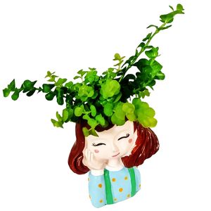 گیاه طبیعی چمن طلایی مدل b 16