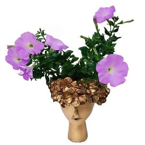گیاه طبیعی گل اطلسی مدل c 12