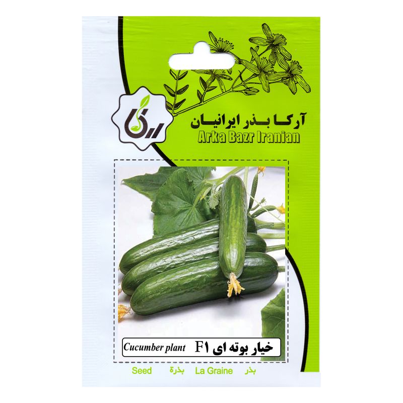 بذر  خیار بوته ای f1 آرکا بذر ایرانیان کد 198 ark