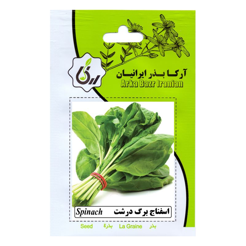 بذر اسفناج برگ درشت آرکا بذر ایرانیان کد ark 215