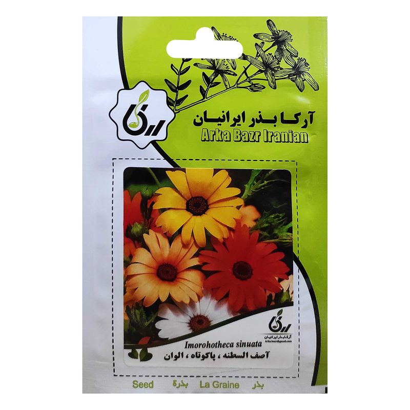 بذر اصف السطنه پاکوتاه الوان آرکا بذر ایرانیان کد ark 038