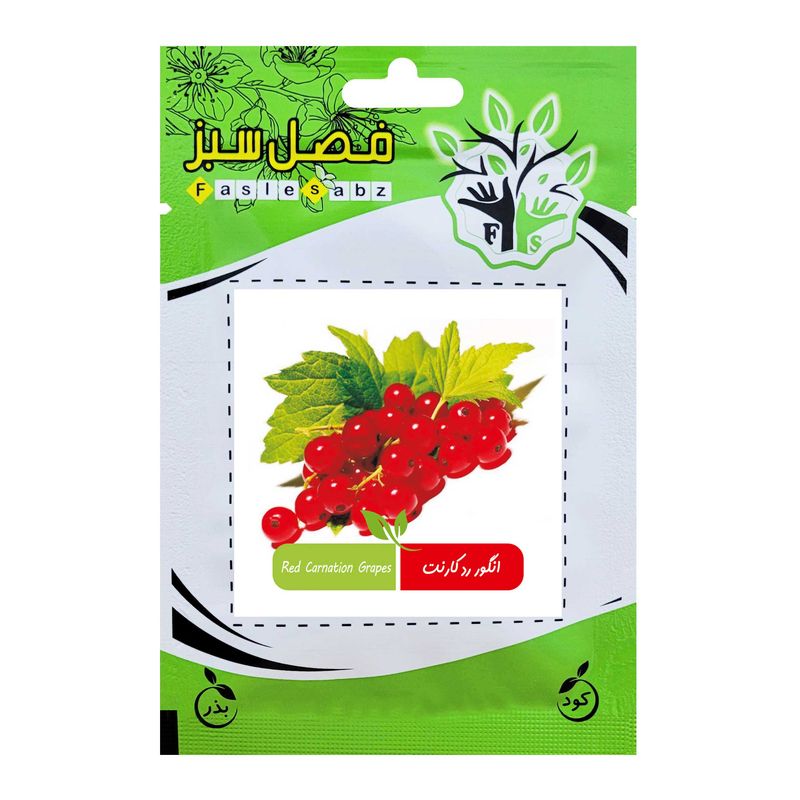 بذر انگور رد کارنت فصل سبز کد fsseed 31