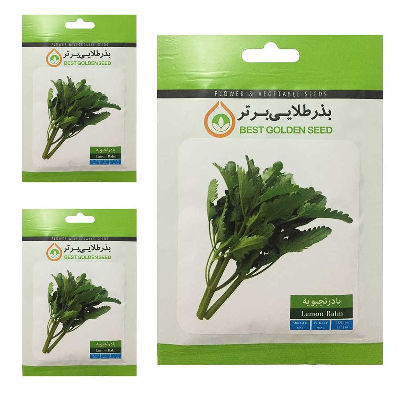 بذر بادرنجبویه بذر طلایی برتر کد btb 88 مجموعه 3 عددی