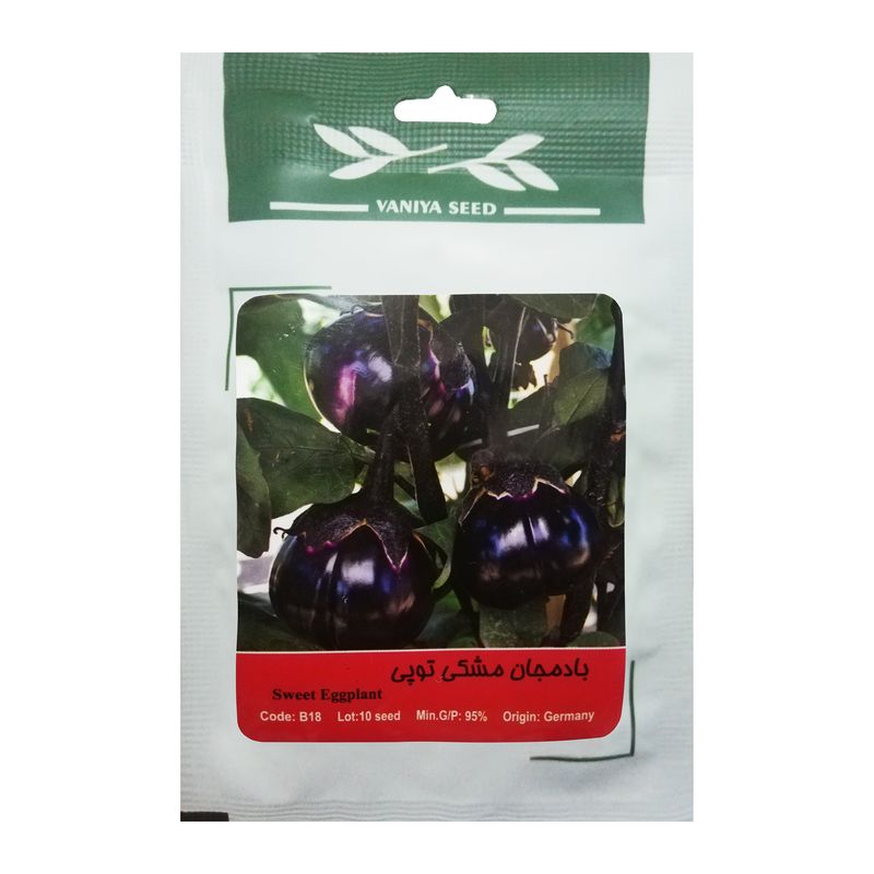 بذر بادمجان مشکی توپی وانیا سید مدل b18