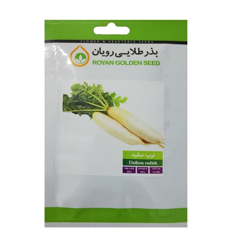 بذر ترب سفید بذر طلایی رویان کد bzt 111