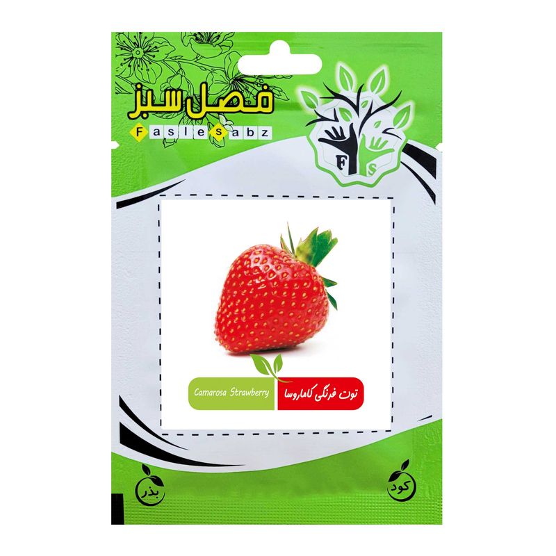 بذر توت فرنگی کاماروسا فصل سبز کد fsseed 33