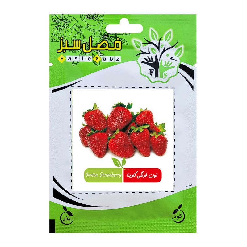بذر توت فرنگی گاویتا فصل سبز کد fsseed 034