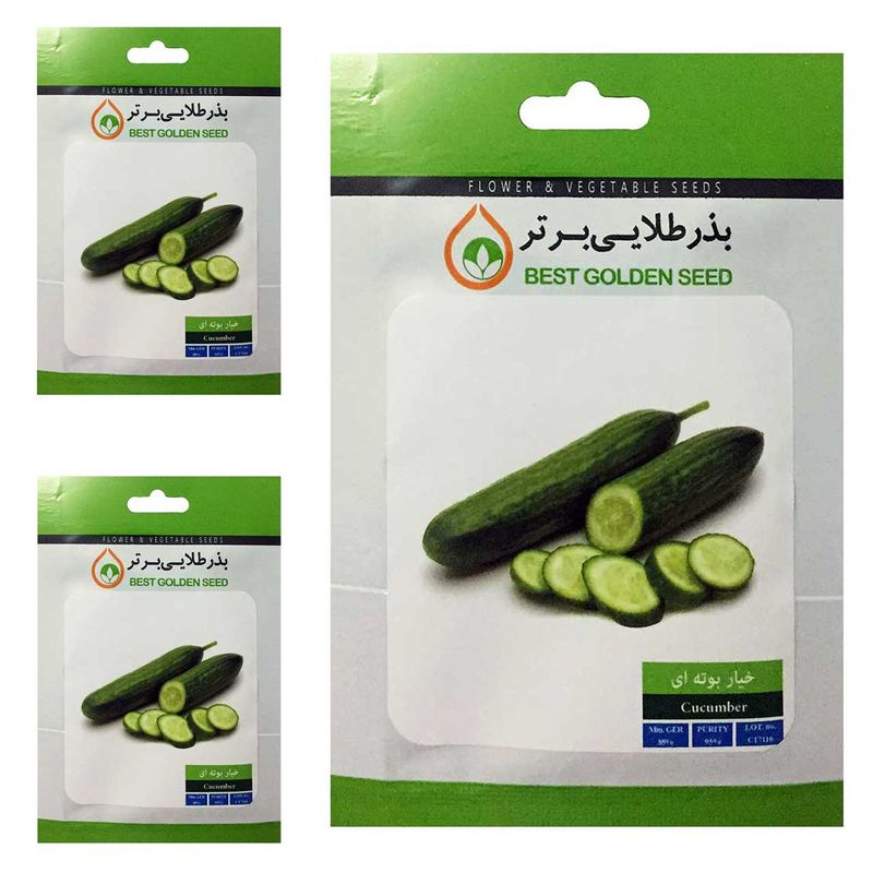بذر خیار بوته ای بذر طلایی برتر کد btb 53 مجموعه 3 عددی